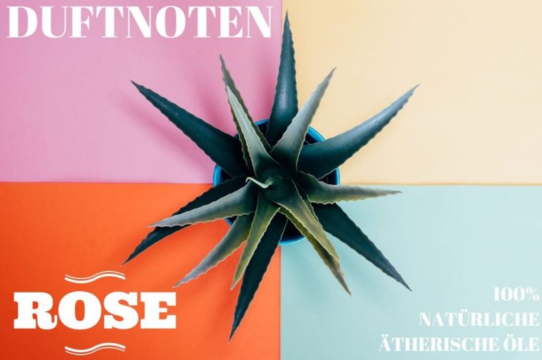 Derma Repair Aloe Vera Gel mit Ringelblume und Kamille